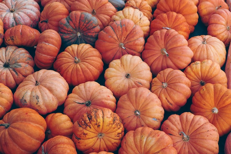 Fall Crop Rotation
